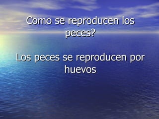 Como se reproducen los peces? Los peces se reproducen por huevos 