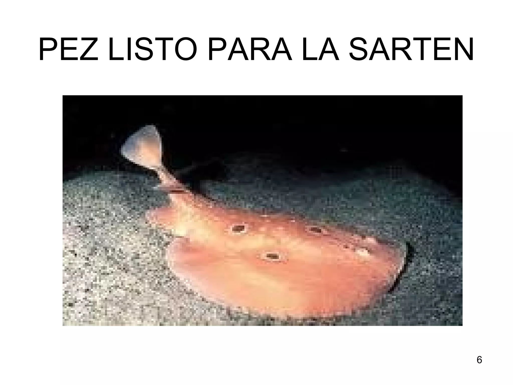 N Raro Los peces mas raros del mundo | PPT