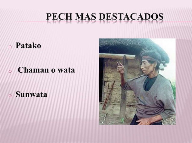 Los pech | PPTX