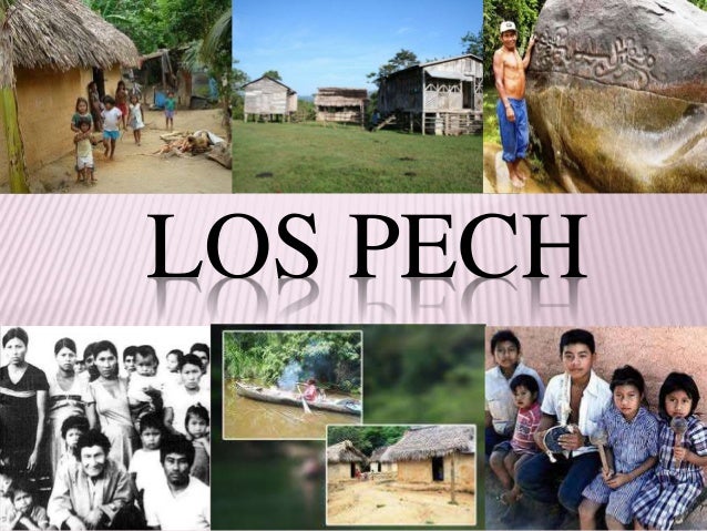 los pech