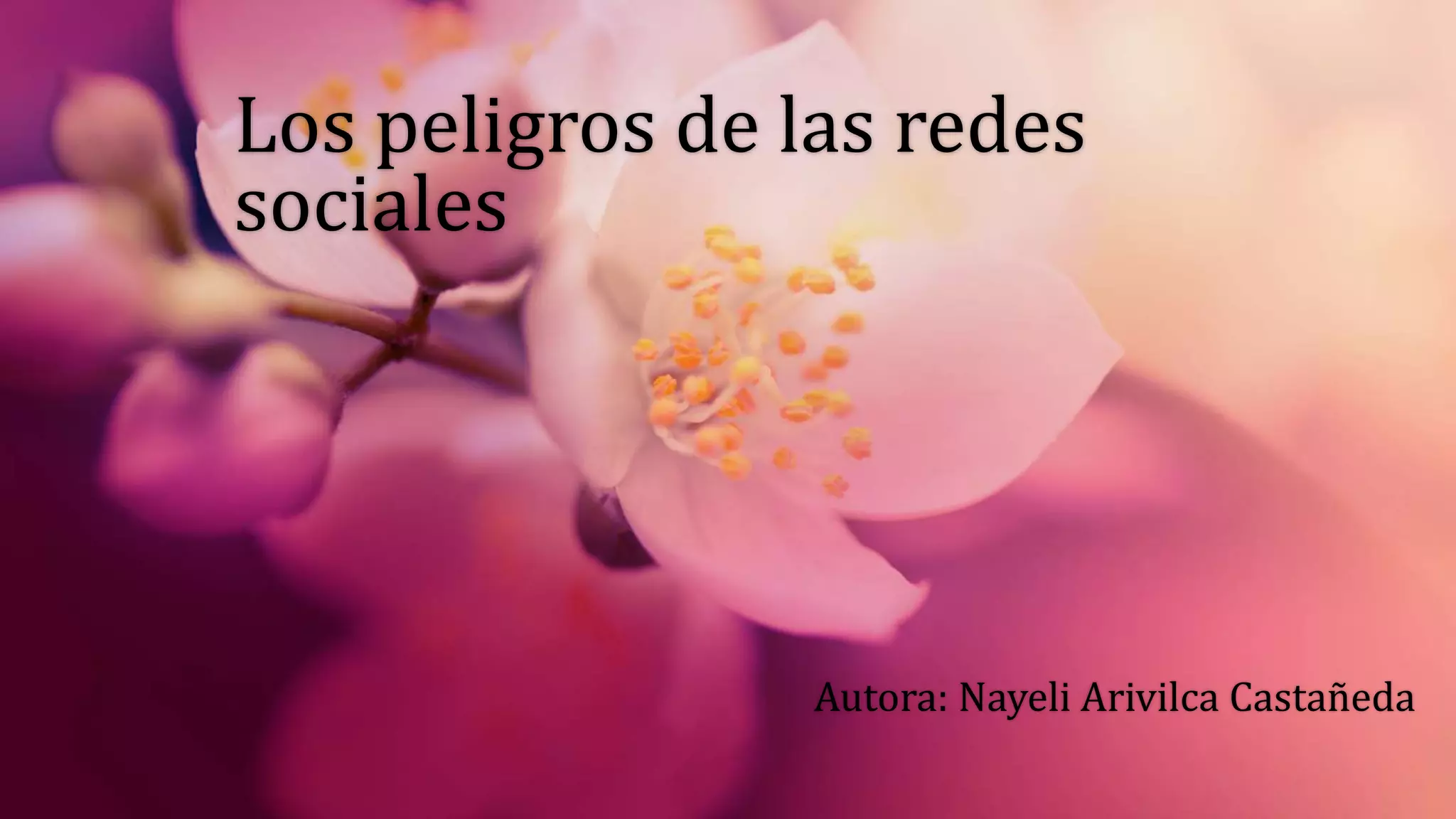 Los peligros de las redes sociales | PPTX