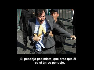 El pendejo pesimista, que cree que él es el único pendejo. 