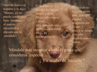Miró de nuevo al hombre y le dijo: "Bueno, yo no   puedo correr muy bien   tampoco, y el perrito necesitará a alguien que lo    entienda". El hombre se mordió los labios, sonrió y dijo: "Hijo, sólo espero y rezo para que cada uno de estos cachorritos tenga un dueño como tú". En la vida no importa quién eres, sino que alguien te aprecie por lo que eres, y te acepte y te ame  incondiciona-mente. Mándale este mensaje a toda la gente que consideres   especial...   ¡ Yo acabo de hacerlo ! 