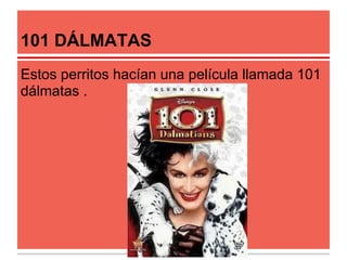 101 DÁLMATAS
Estos perritos hacían una película llamada 101
dálmatas .
 