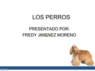 LOS PERROS
PRESENTADO POR:
FREDY JIMENEZ MORENO
 