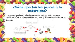 ¿Cómo aportan los perros a la
naturaleza?
Los perros igual que todos los seres vivos del planeta, son muy
importantes en la cadena alimenticia, para que exista equilibrio en el
planeta.
 