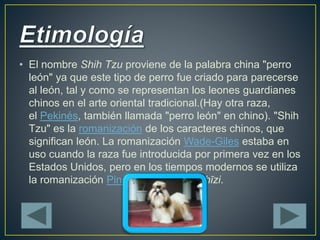 • El Shih Tzu es un perro pequeño con un hocico corto y 
ojos grandes y oscuros. Tiene un suave manto de doble 
capa, que ...