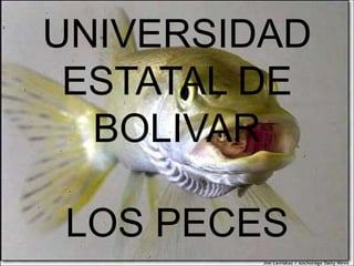 UNIVERSIDAD ESTATAL DE BOLIVARLOS PECES 