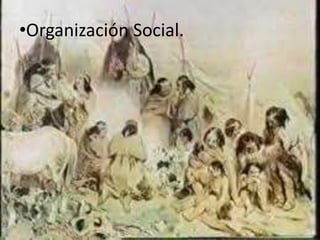 Organización Social. Costumbres y Creencias Desarrollo CulturalOrganización Económica Ubicación GeográficaVestimenta Viviendas