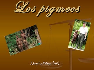 Los pigmeosLos pigmeos
J.ángel y Pelayo (rasi)J.ángel y Pelayo (rasi)
 