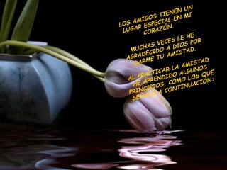 LOS AMIGOS TIENEN UN LUGAR ESPECIAL EN MI CORAZÓN. MUCHAS VECES LE HE AGRADECIDO A DIOS POR DARME TU AMISTAD. AL PRACTICAR LA AMISTAD HE APRENDIDO ALGUNOS PRINCIPIOS, COMO LOS QUE SEÑALO A CONTINUACIÓN: