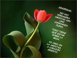 SINCERIDAD: NO HAY VERDADERA AMISTAD SIN UNA CONFIANZA PLENA. TODO TIENE QUE ESTAR SOBRE LA MESA. YO CREO EN LA AMISTAD, A CORAZÓN ABIERTO.