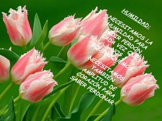 HUMILDAD: NECESITAMOS LA HUMILDAD PARA PEDIR PERDÓN CADA VEZ QUE NOS EQUIVOQUEMOS. NECESITAMOS TAMBIÉN AMPLITUD DE CORAZÓN PARA SABER PERDONAR .