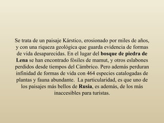 Se trata de un paisaje Kárstico, erosionado por miles de años, y con una riqueza geológica que guarda evidencia de formas de vida desaparecidas. En el lugar del  bosque de piedra de Lena  se han encontrado fósiles de mamut, y otros eslabones perdidos desde tiempos del Cámbrico. Pero además perduran infinidad de formas de vida con 464 especies catalogadas de plantas y fauna abundante.  La particularidad, es que uno de los paisajes más bellos de  Rusia , es además, de los más inaccesibles para turistas. 