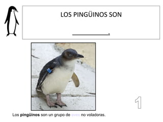 LOS PINGÜINOS SON . Los  pingüinos  son un grupo de  aves  no voladoras.  1 