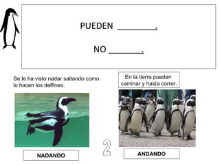 PUEDEN  . NO  . NADANDO ANDANDO Se le ha visto nadar saltando como  lo hacen los delfines. 2 En la tierra pueden  caminar y hasta correr. 