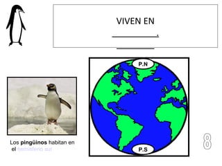 P.S P.N VIVEN EN . Los  pingüinos  habitan en  el  hemisferio sur   8 
