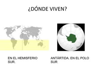 ¿DÓNDE VIVEN?




EN EL HEMISFERIO   ANTÁRTIDA. EN EL POLO
SUR.               SUR
 