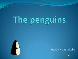 The penguins Maria Alejandra Lobo 