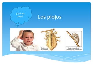¿Qué me
 pasa?
          Los piojos
 
