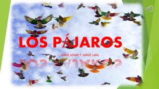 LOS PÁJAROS
JORGE AZNAR Y JORGE LARA
1
 
