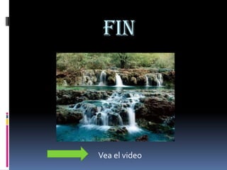 Fin




Vea el video
 