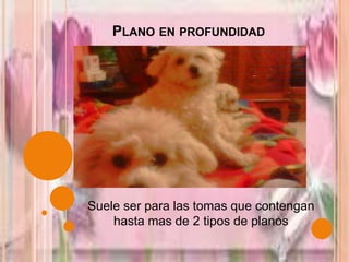 Plano en profundidad Suele ser para las tomas que contengan hasta mas de 2 tipos de planos 