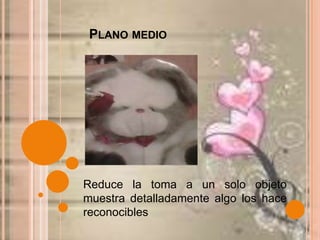 Plano medio Reduce la toma a un solo objeto  muestra detalladamente algo los hace reconocibles 