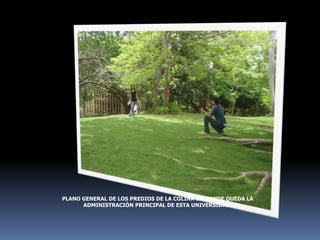 PLANO GENERAL DE LOS PREDIOS DE LA COLINA EN DONDE QUEDA LA ADMINISTRACIÓN PRINCIPAL DE ESTA UNIVERSIDAD.