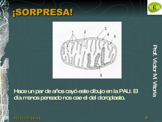 ¡SORPRESA! Hace un par de años cayó este dibujo en la PAU. El día menos pensado nos cae el del cloroplasto.