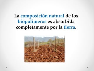 La composición natural de los
biopolímeros es absorbida
completamente por la tierra.
 
