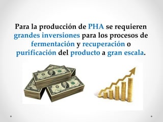 Para la producción de PHA se requieren
grandes inversiones para los procesos de
fermentación y recuperación o
purificación del producto a gran escala.
 