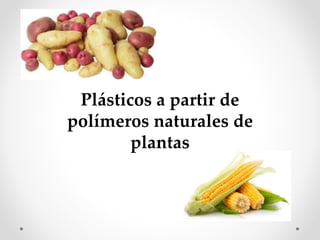 Plásticos a partir de
polímeros naturales de
plantas
 