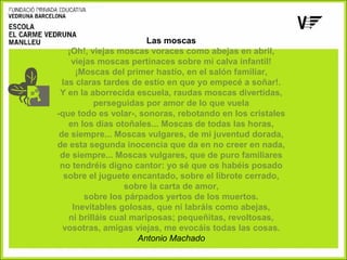 Las moscas
¡Oh!, viejas moscas voraces como abejas en abril,
viejas moscas pertinaces sobre mi calva infantil!
¡Moscas del primer hastío, en el salón familiar,
las claras tardes de estío en que yo empecé a soñar!.
Y en la aborrecida escuela, raudas moscas divertidas,
perseguidas por amor de lo que vuela
-que todo es volar-, sonoras, rebotando en los cristales
en los días otoñales... Moscas de todas las horas,
de siempre... Moscas vulgares, de mi juventud dorada,
de esta segunda inocencia que da en no creer en nada,
de siempre... Moscas vulgares, que de puro familiares
no tendréis digno cantor: yo sé que os habéis posado
sobre el juguete encantado, sobre el librote cerrado,
sobre la carta de amor,
sobre los párpados yertos de los muertos.
Inevitables golosas, que ni labráis como abejas,
ni brilláis cual mariposas; pequeñitas, revoltosas,
vosotras, amigas viejas, me evocáis todas las cosas.
Antonio Machado

 