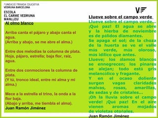 Al olmo blanco
Arriba canta el pájaro y abajo canta el
agua.
(Arriba y abajo, se me abre el alma.)
Entre dos melodías la columna de plata.
Hoja, pájaro, estrella; baja flor, raíz,
agua.
Entre dos conmociones la columna de
plata.
(Y tú, tronco ideal, entre mi alma y mi
alma.)
Mece a la estrella el trino, la onda a la
flor baja.
(Abajo y arriba, me tiembla el alma).
Juan Ramón Jiménez

Llueve sobre el campo verde
Llueve sobre el campo verde...
¡Qué paz! El agua se abre
y la hierba de noviembre
es de pálidos diamantes.
Se apaga el sol; de la choza
de la huerta se ve el valle
más
verde,
más
oloroso,
más idílico que antes.
Llueve; los álamos blancos
se ennegrecen; los pinares
se alejan; todo está gris
melancólico y fragante.
Y
en
el
ocaso
doliente
surgen
vagas
claridades
malvas,
rosas,
amarillas,
de sedas y de cristales...
¡Oh la lluvia sobre el campo
verde! ¡Qué paz! En el aire
vienen
aromas
mojados
de violetas otoñales.
Juan Ramón Jiménez

 