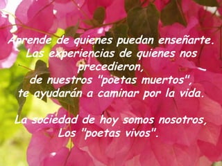 Aprende de quienes puedan enseñarte. Las experiencias de quienes nos precedieron, de nuestros "poetas muertos", te ayudarán a caminar por la vida. La sociedad de hoy somos nosotros, Los "poetas vivos".  