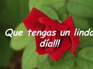 Que tengas un lindo día!!! 