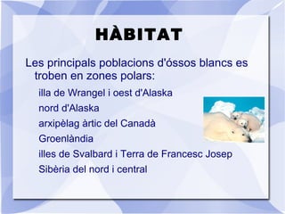 Presenten un perfil més allargat que els altres óssos i les potes més desenvolupades.  