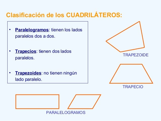 Los polígonos