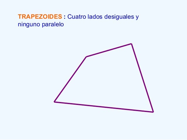 Los polígonos