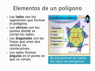 







Los lados son los
segmentos que forman
el polígono.
Los vértices son los
puntos donde se
cortan los lados.
Las diagonales son las
líneas que unen dos
vértices no
consecutivos.
Los lados forman
ángulos en el punto en
que se cortan.

Se encuentran en todos
los tipos de polígonos

 