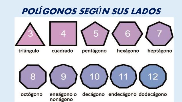 Los polígonos