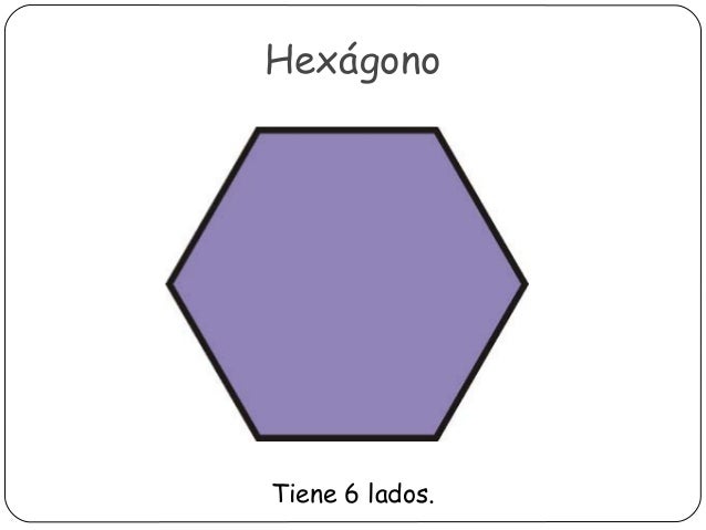 Los polígonos