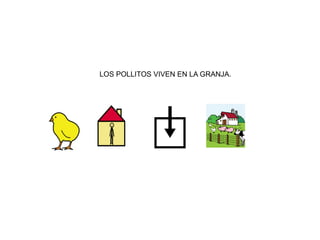 LOS POLLITOS VIVEN EN LA GRANJA.
 