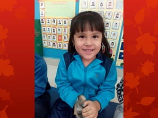 Los pollitos de rocío r