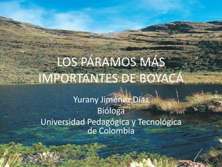 LOS PÁRAMOS MÁS IMPORTANTES DE BOYACÁ Yurany Jiménez Díaz Bióloga Universidad Pedagógica y Tecnológica de Colombia 