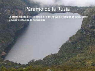 Páramo de la Rusia La oferta hídrica de este páramo se distribuye en cuerpos de agua, como lagunas y sistemas de humedales