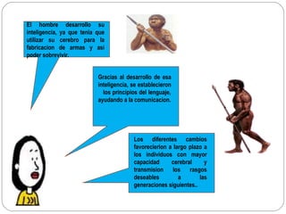 El hombre desarrollo su inteligencia, ya que tenia que utilizar su cerebro para la fabricacion de armas y asi poder sobrevivir. Gracias al desarrollo de esa inteligencia, se establecieron  los principios del lenguaje, ayudando a la comunicacion. Los diferentes cambios favorecierion a largo plazo a los individuos con mayor capacidad cerebral y transmision los rasgos deseables a las generaciones siguientes.. 