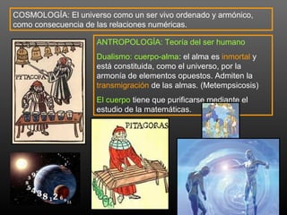 COSMOLOGÍA: El universo como un ser vivo ordenado y armónico, 
como consecuencia de las relaciones numéricas. 
ANTROPOLOGÍA: Teoría del ser humano 
Dualismo: cuerpo-alma: el alma es inmortal y 
está constituida, como el universo, por la 
armonía de elementos opuestos. Admiten la 
transmigración de las almas. (Metempsicosis) 
El cuerpo tiene que purificarse mediante el 
estudio de la matemáticas. 
 