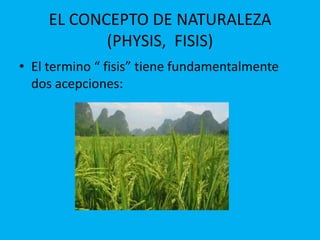 EL CONCEPTO DE NATURALEZA
(PHYSIS, FISIS)
• El termino “ fisis” tiene fundamentalmente
dos acepciones:
 